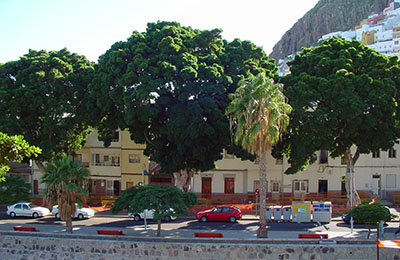 tenerife