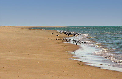 mauritanie