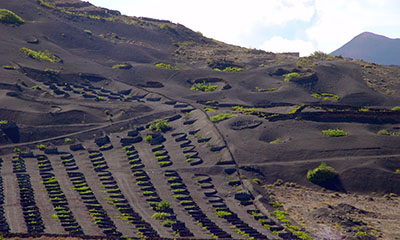 lanzarote