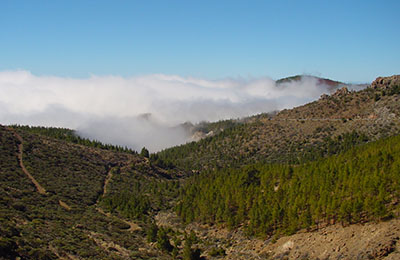 tenerife