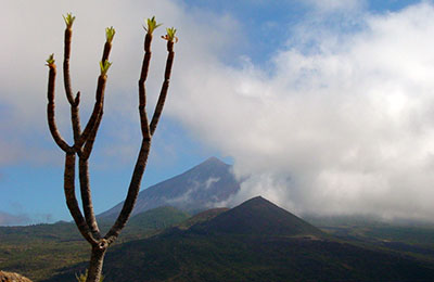 tenerife