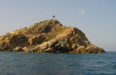 corse