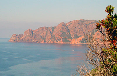 corse