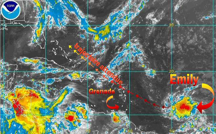 cyclone emily