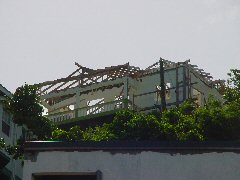 cyclone emily