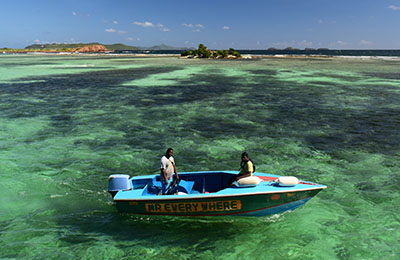 grenadines