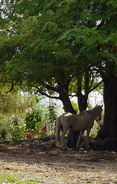 img01