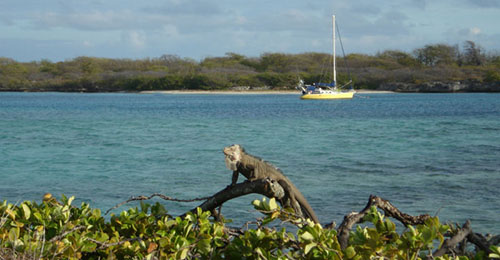 guadeloupe