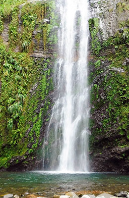 guadeloupe