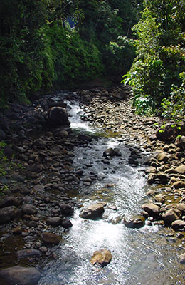 guadeloupe