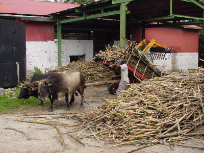 guadeloupe