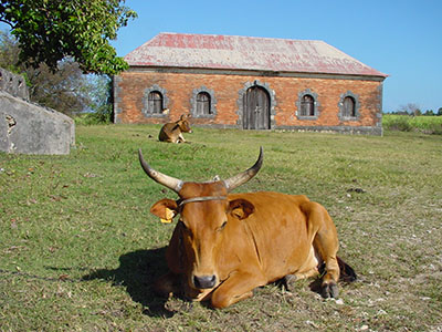 guadeloupe