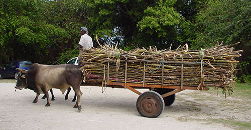 guadeloupe