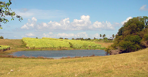 guadeloupe