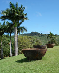 img01