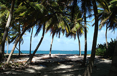 martinique