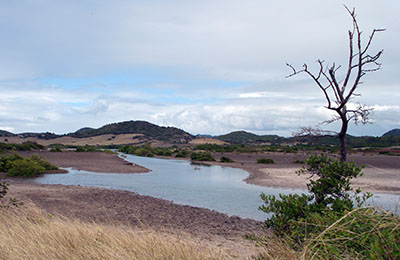 martinique