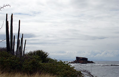 martinique