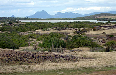 martinique