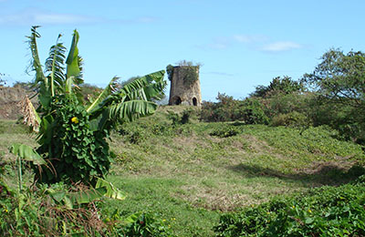 martinique