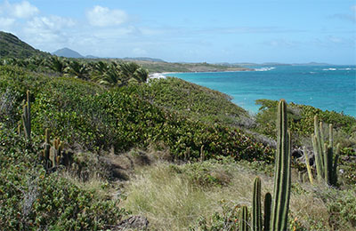 martinique