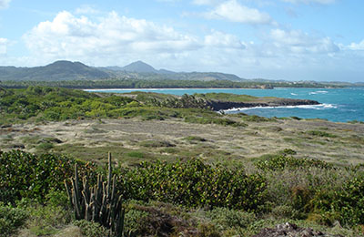 martinique