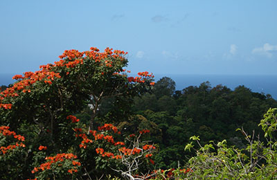 martinique