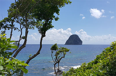 martinique