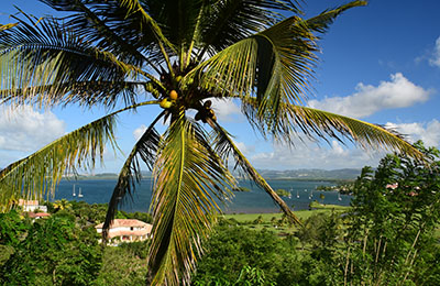 martinique