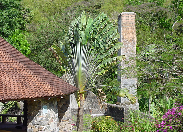 martinique