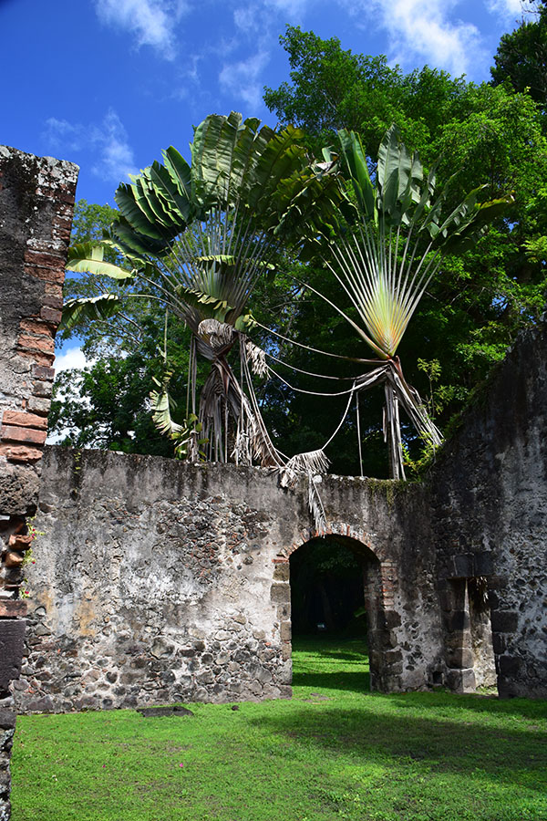 martinique