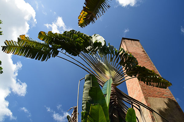 martinique