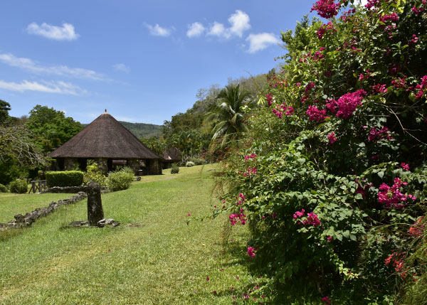 martinique