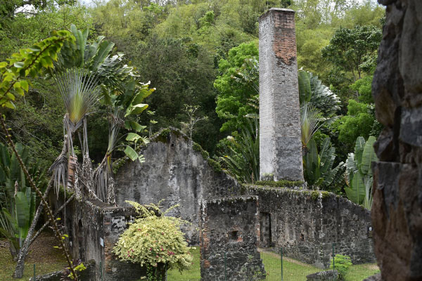 martinique