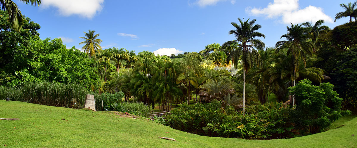 martinique