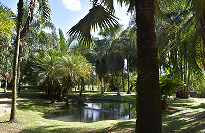 martinique
