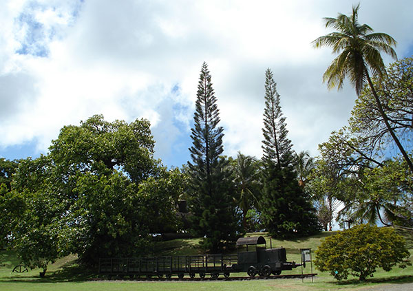 martinique