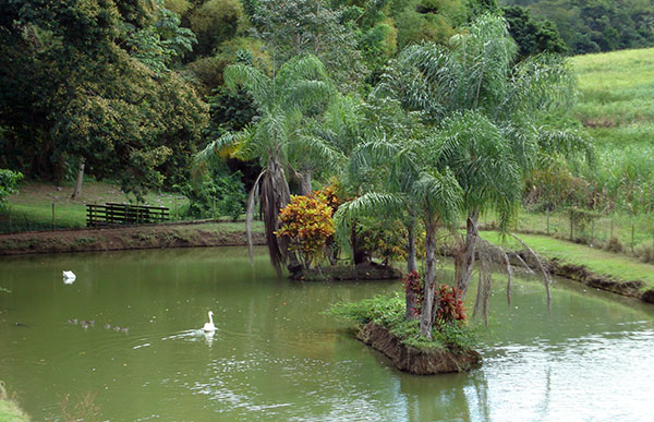 martinique