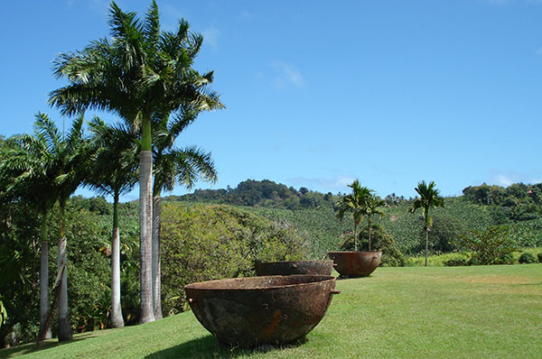 martinique