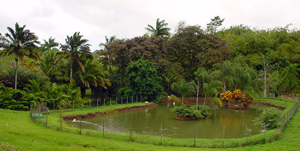 martinique
