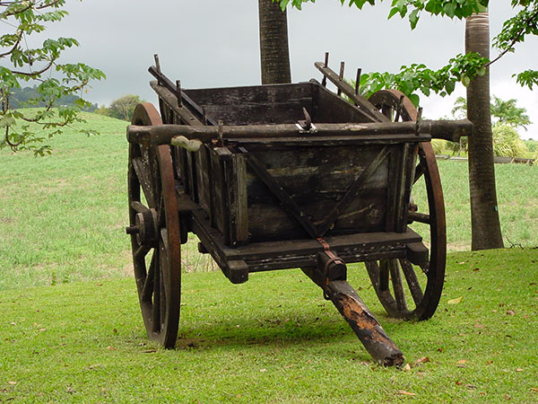 martinique