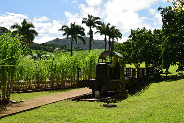 martinique