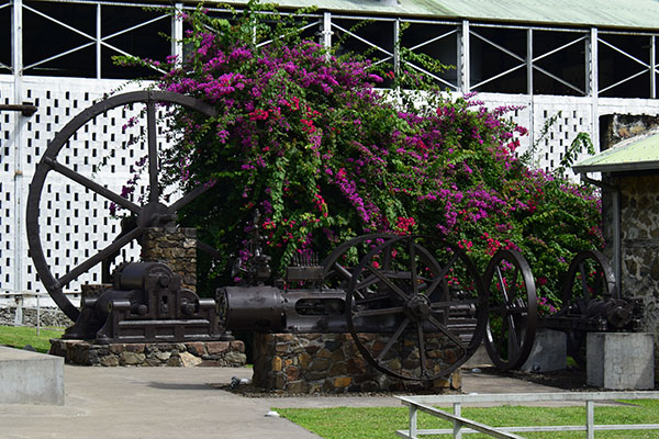 martinique