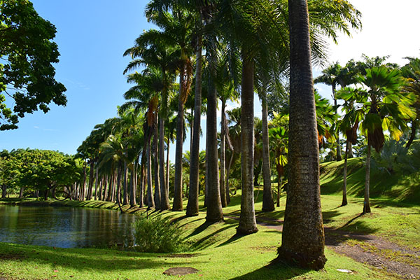 martinique