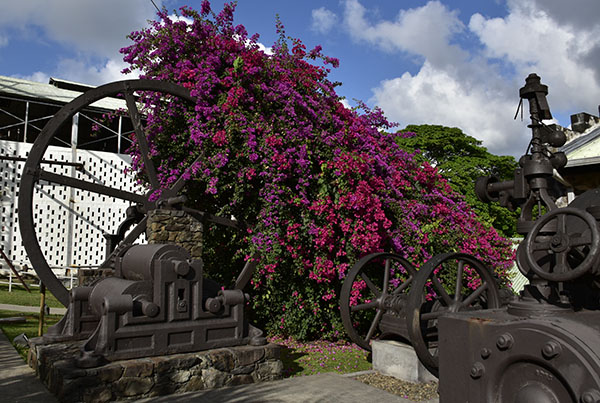 martinique