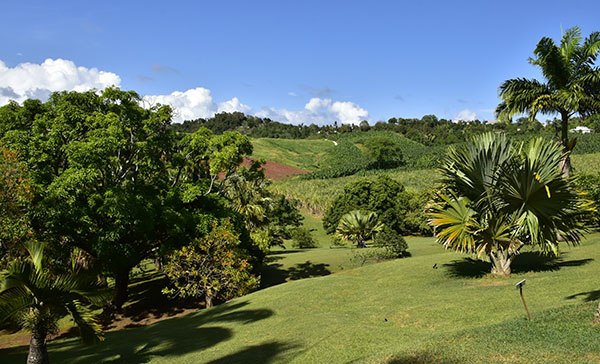 martinique