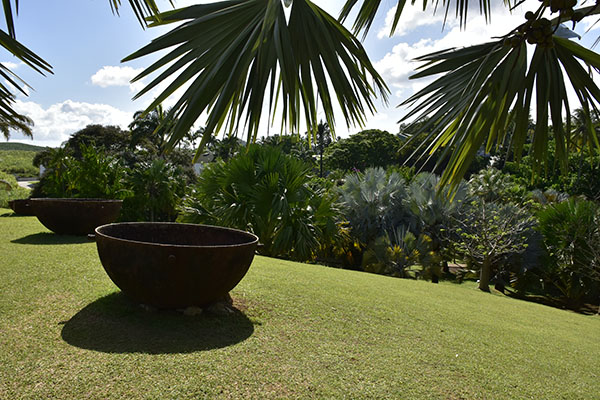 martinique