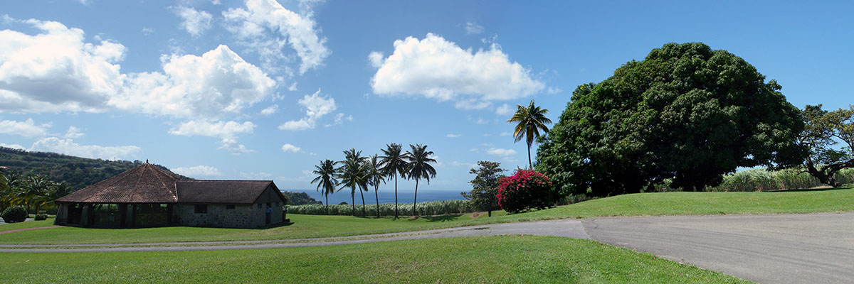 martinique