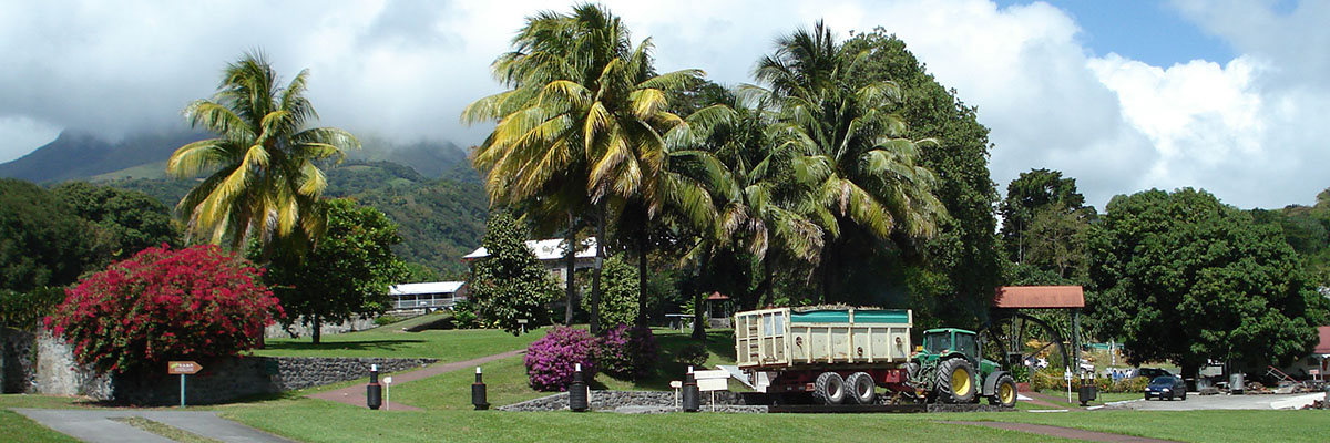 martinique