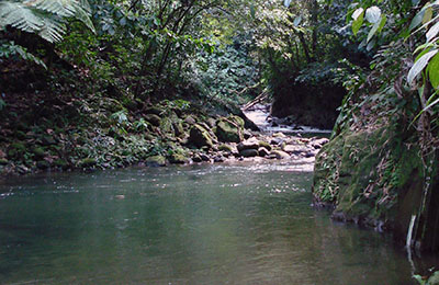 martinique